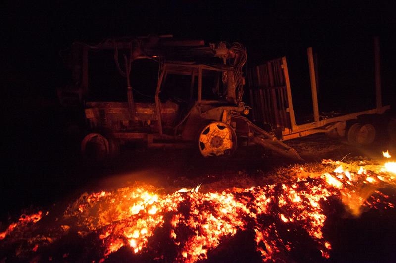Asturias registra 15 denuncias por la oleada de fuegos forestales Asturias registra 15 denuncias por la oleada de fuegos forestales