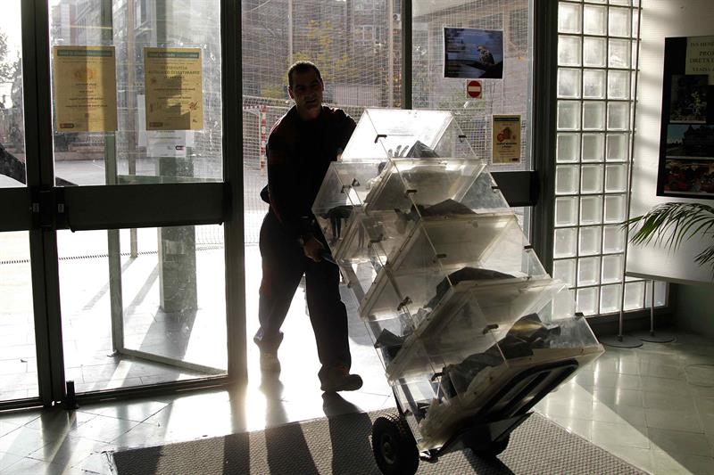 Tertulia: ¿Estamos abocados a unas nuevas elecciones? Tertulia: ¿Estamos abocados a unas nuevas elecciones?