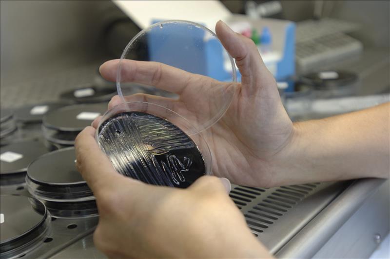 Seis afectados por un brote de legionela en una urbanización de Valencia Seis afectados por un brote de legionela en una urbanización de Valencia