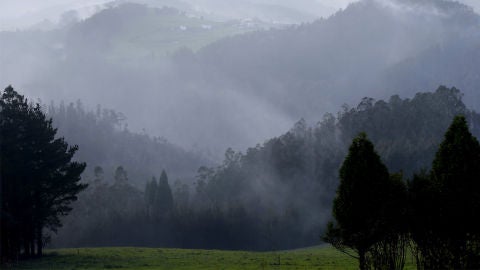 Incendio en Asturias
