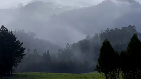 Incendio en Asturias Incendio en Asturias
