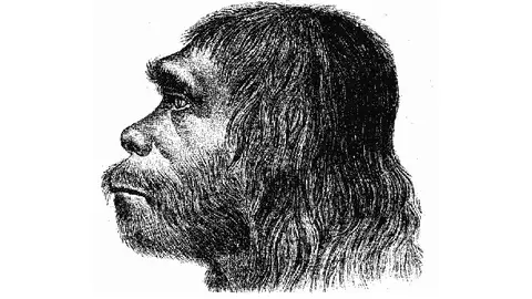 ¿Por qué los neandertales eran tan diferentes a nosotros? ¿Por qué los neandertales eran tan diferentes a nosotros?