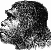 ¿Por qué los neandertales eran tan diferentes a nosotros? ¿Por qué los neandertales eran tan diferentes a nosotros?