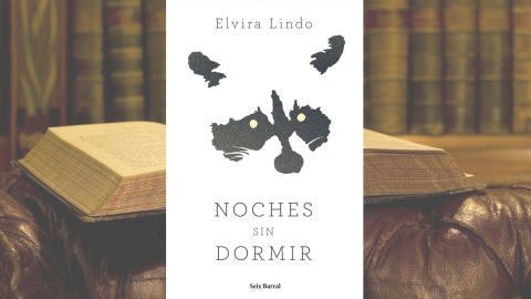 Elvira Lindo - Noches sin dormir