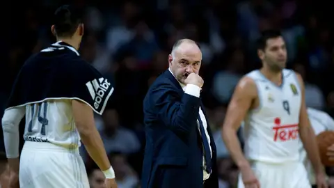Pablo Laso, entrenador del Real Madrid Pablo Laso, entrenador del Real Madrid