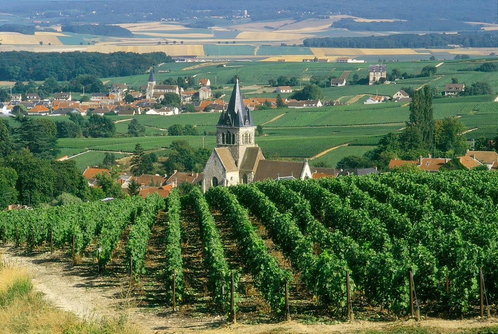Norte de Francia, la tierra del vino Norte de Francia, la tierra del vino