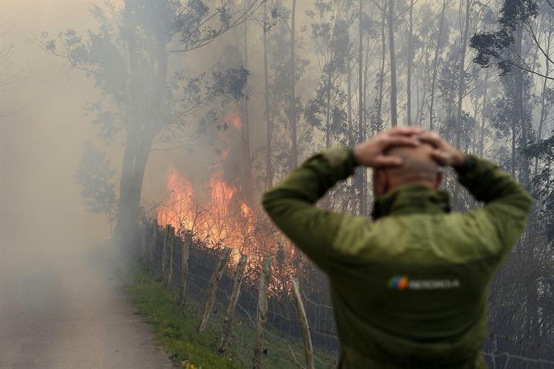 Aquí en la Onda Cantabria. Medio Ambiente: Greenpeace suspende a Cantabria en prevención de incendios Aquí en la Onda Cantabria. Medio Ambiente: Greenpeace suspende a Cantabria en prevención de incendios