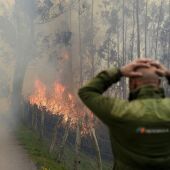 Una persona se lleva las manos a la cabeza mientras presencia un incendio en Cantabria