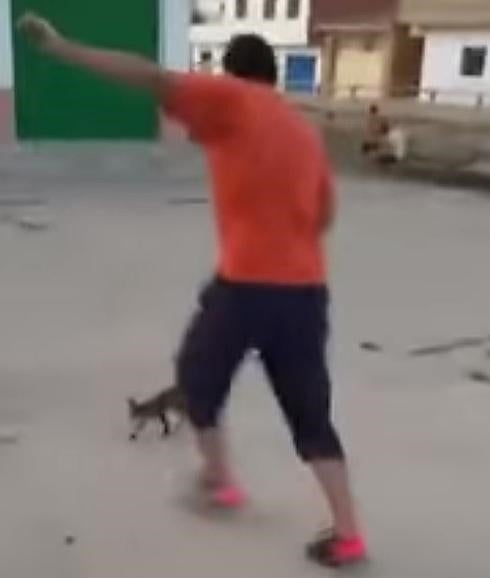 Denuncian a un menor por dar una patada a un gatito y subirlo a YouTube Denuncian a un menor por dar una patada a un gatito y subirlo a YouTube