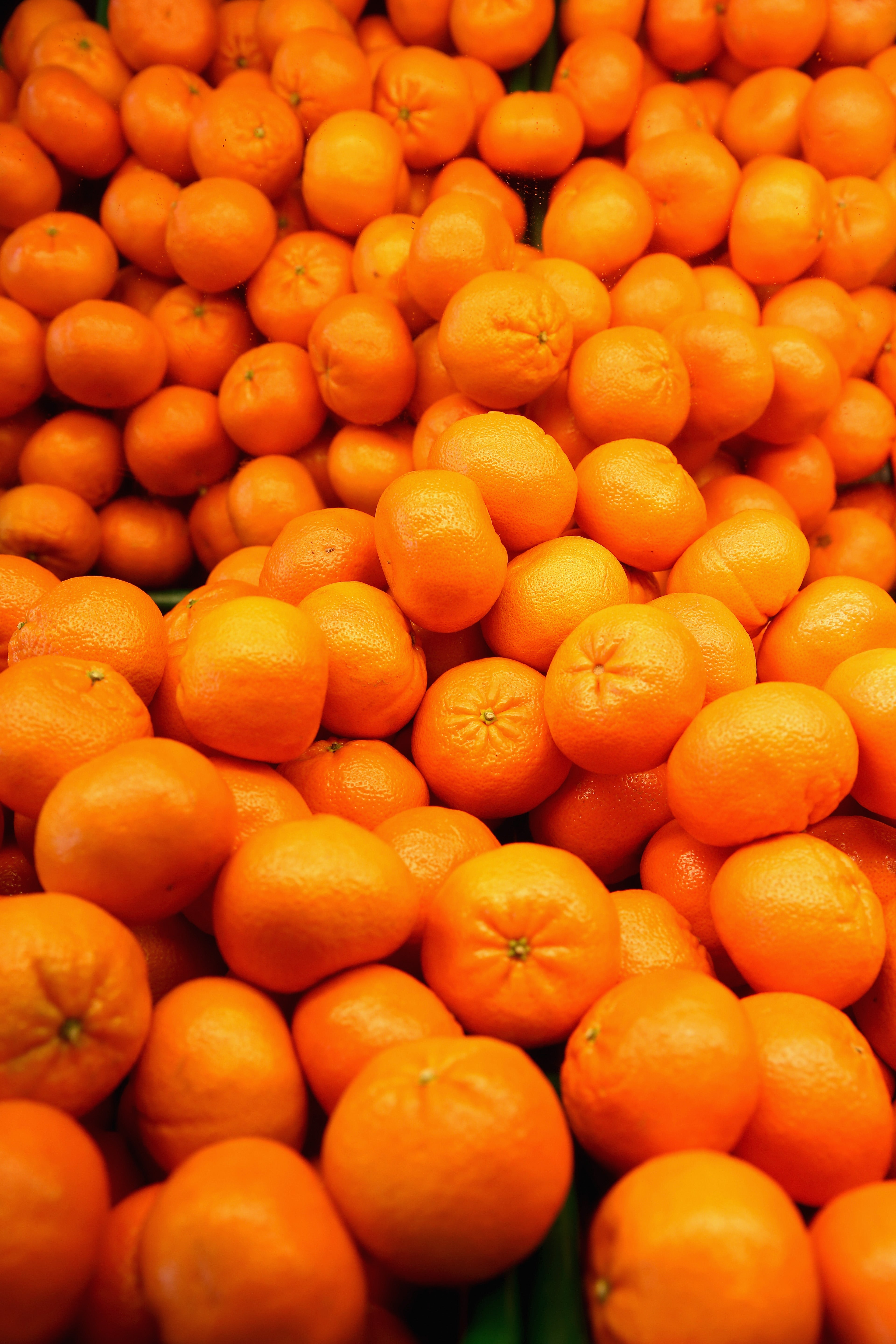 Se desconvoca la huelga en el sector de la manipulación de cítricos al alcanzarse un preacuerdo Se desconvoca la huelga en el sector de la manipulación de cítricos al alcanzarse un preacuerdo