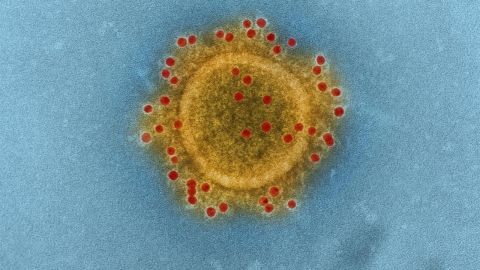 Imagen microsc&oacute;pica del virus MERS - CoV 