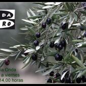 Jaén en la Onda