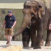 Un elefante con sus cuidadores en el zoo de Munich