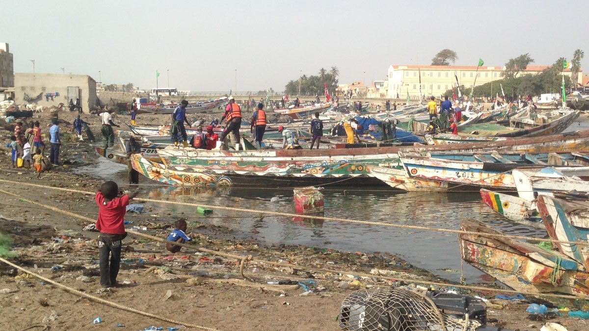 Día 9. Louga Día 9. Louga