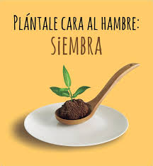 MELO, Marbella en la Onda, lunes 8 de febrero de 2016, Onda Cero Marbella MELO, Marbella en la Onda, lunes 8 de febrero de 2016, Onda Cero Marbella