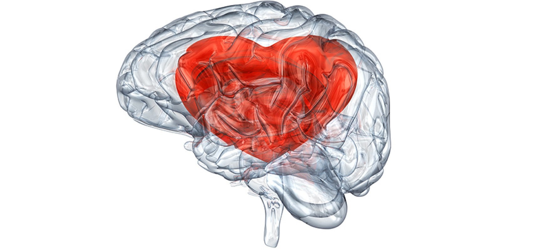¿Por qué el amor nubla el juicio y la razón? ¿Por qué el amor nubla el juicio y la razón?