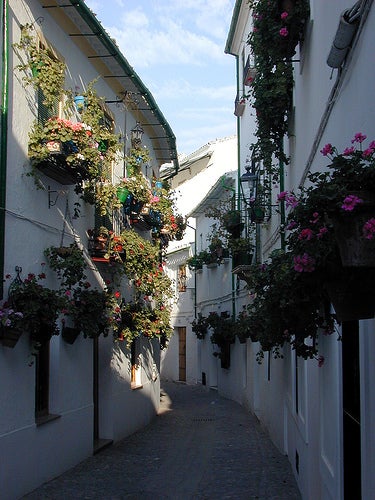 Los prieguenses nos invitan a disfrutar de su "Noche abierta" Los prieguenses nos invitan a disfrutar de su "Noche abierta"