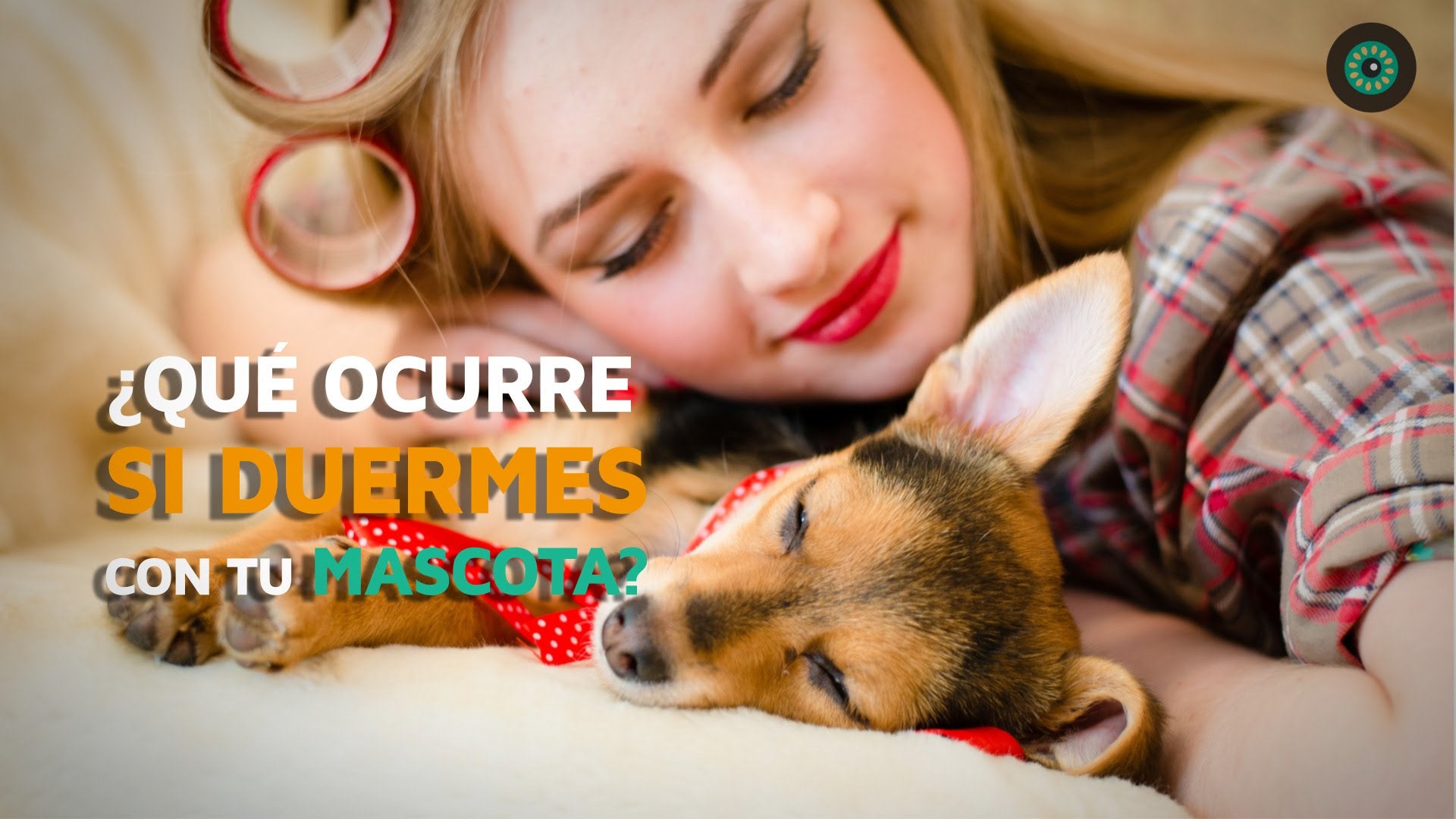 ¿Qué ocurre si duermes con tu mascota? ¿Qué ocurre si duermes con tu mascota?