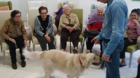 Imagen de una de las sesiones de terapia cognitiva en la Fundaci&oacute;n Ger&oacute;n con la perra Alba