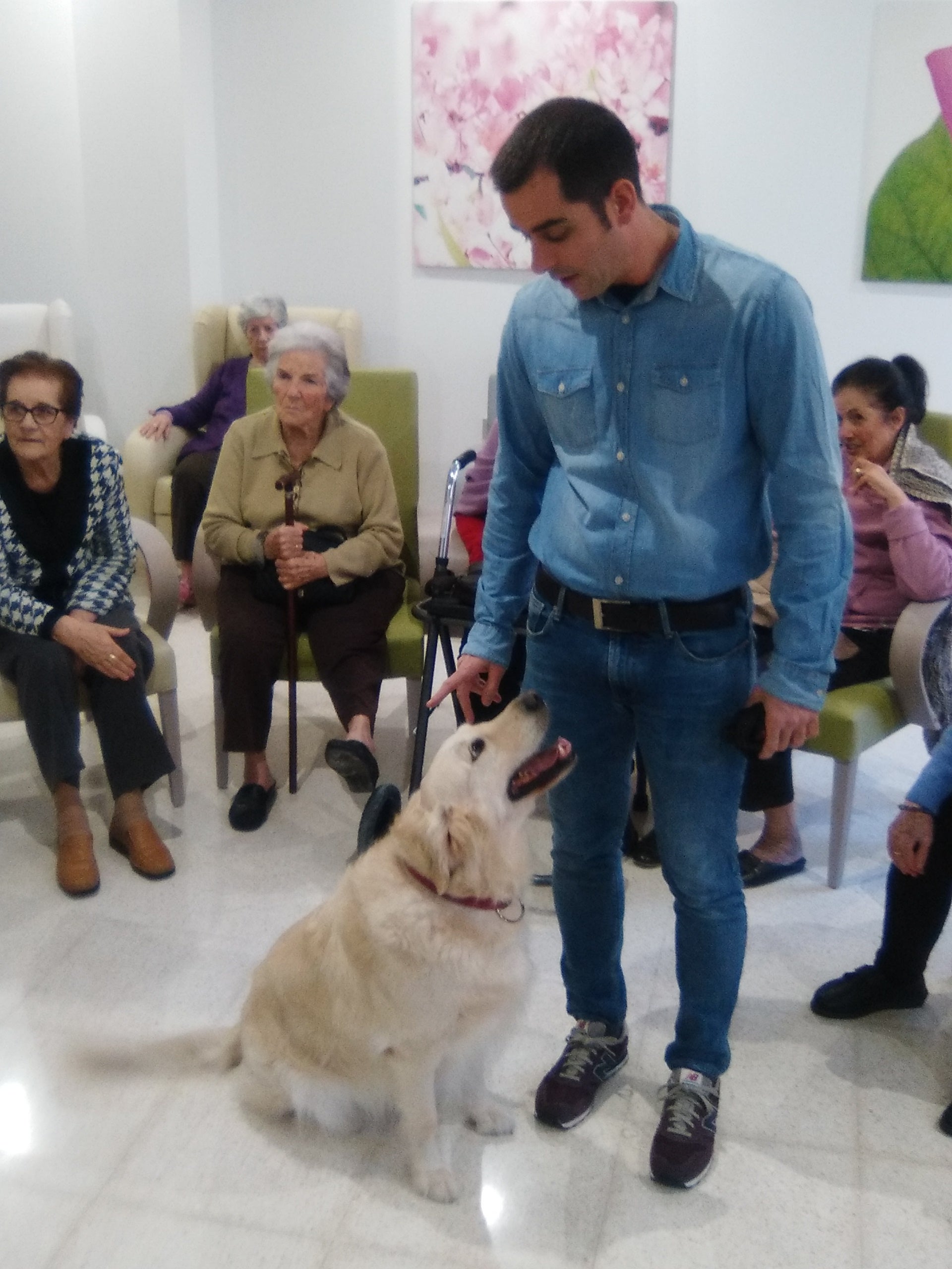 Se reduce un 60% la medicación para depresiones gracias a la terapia con animales Se reduce un 60% la medicación para depresiones gracias a la terapia con animales