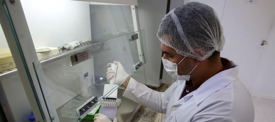Científico investigando sobre el Zika Científico investigando sobre el Zika