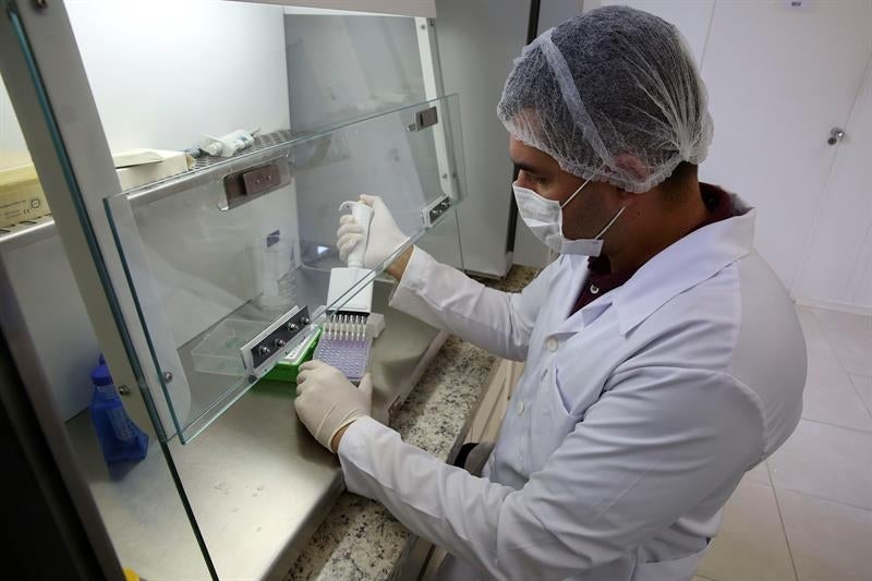 Un estudio genético indica que el virus Zika llegó a América en 2013 Un estudio genético indica que el virus Zika llegó a América en 2013