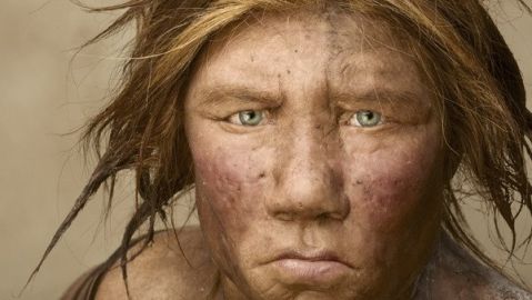Neandertal