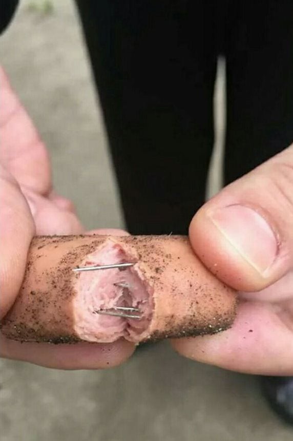 Denuncian a un hombre que colocó salchichas con alfileres en una zona frecuentada por perros en Vizcaya Denuncian a un hombre que colocó salchichas con alfileres en una zona frecuentada por perros en Vizcaya