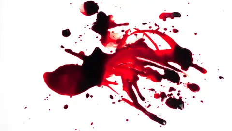 Sangre Sangre
