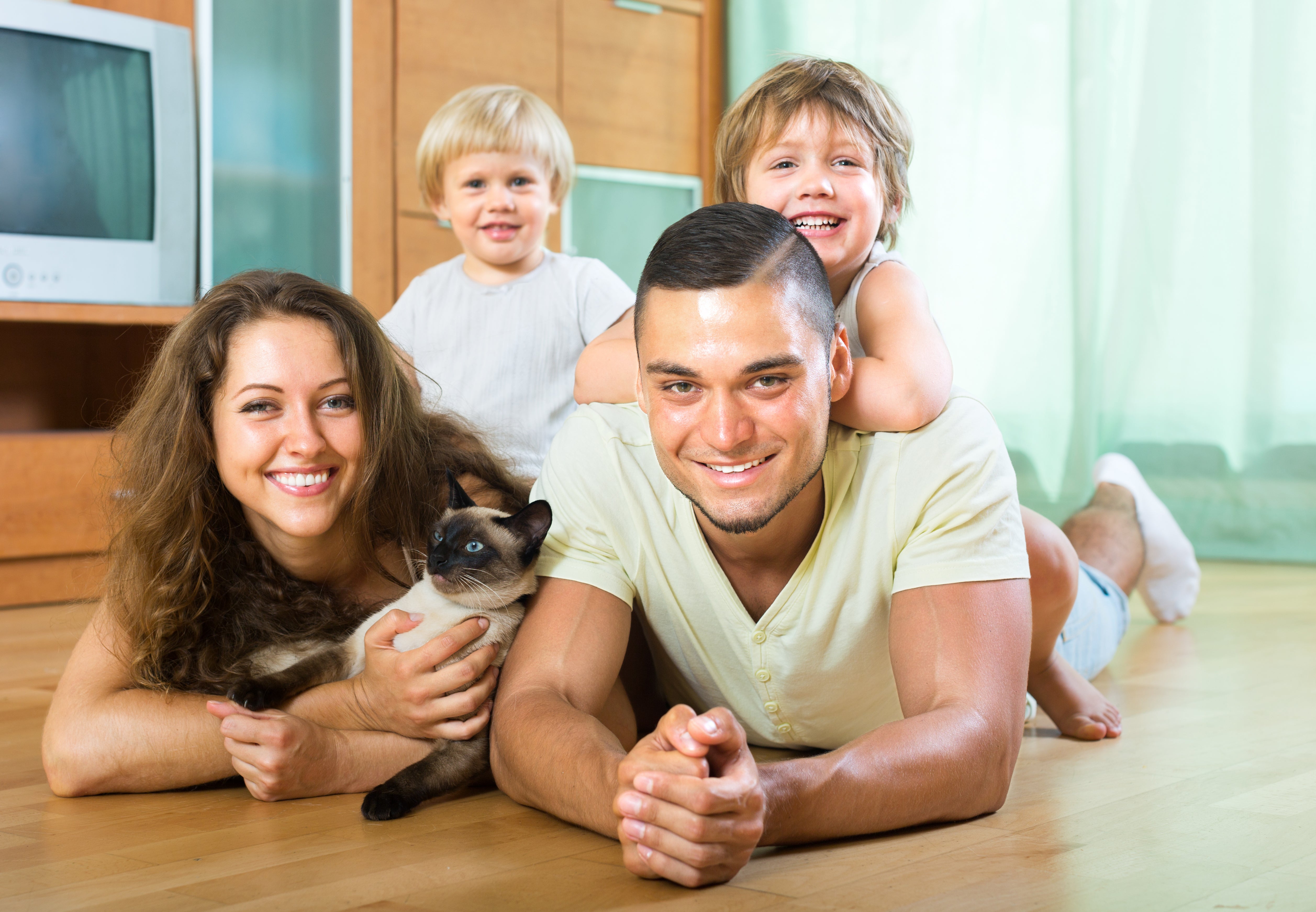 Mi gato se comporta distinto con cada miembro de la familia Mi gato se comporta distinto con cada miembro de la familia