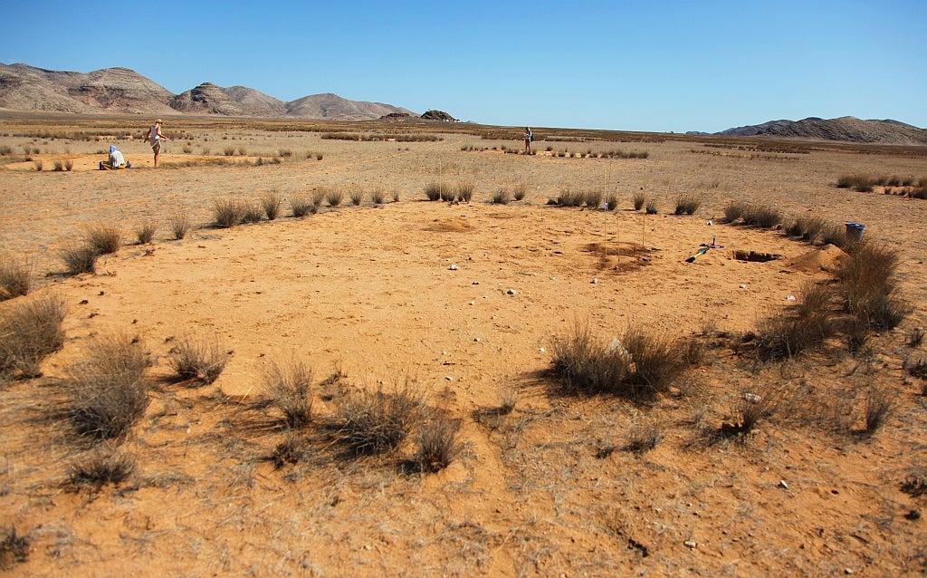 Eureka: La explicación científica de los círculos de hadas Eureka: La explicación científica de los círculos de hadas