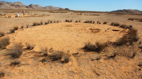 c&iacute;rculos de hadas
