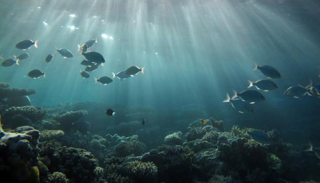 Ciencia y Más: Los sonidos más misteriosos del planeta Ciencia y Más: Los sonidos más misteriosos del planeta