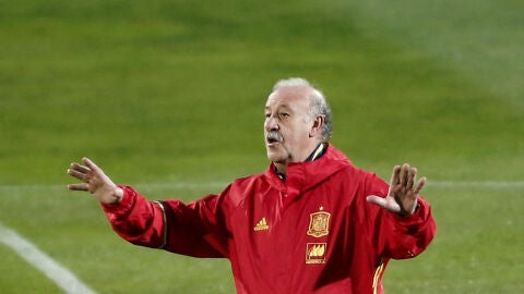Vicente del Bosque, en un entrenamiento