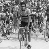 EDDY MERCKX (1946): Cinco Tours (1969, 1970, 1971, 1972 y 1974), cinco Giro de Italia (1968, 1970, 1972, 1973 y 1974) y una Vuelta a España (1973)