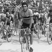 EDDY MERCKX (1946): Cinco Tours (1969, 1970, 1971, 1972 y 1974), cinco Giro de Italia (1968, 1970, 1972, 1973 y 1974) y una Vuelta a España (1973) EDDY MERCKX (1946): Cinco Tours (1969, 1970, 1971, 1972 y 1974), cinco Giro de Italia (1968, 1970, 1972, 1973 y 1974) y una Vuelta a España (1973)