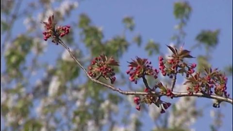 Frame 1.66511 de: La astenia primaveral afecta a uno de cada cinco espa&ntilde;oles