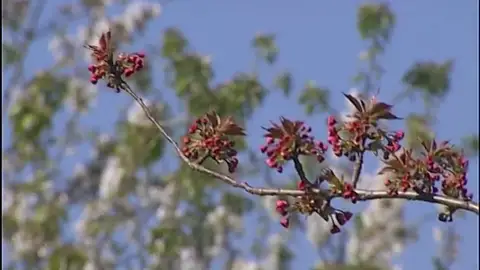 Frame 1.66511 de: La astenia primaveral afecta a uno de cada cinco españoles Frame 1.66511 de: La astenia primaveral afecta a uno de cada cinco españoles
