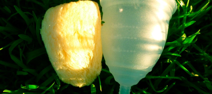 Esponja y copa menstrual Esponja y copa menstrual