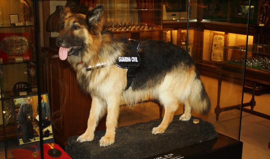 Azul y Verde: Homenaje al perro policía Ajax Azul y Verde: Homenaje al perro policía Ajax