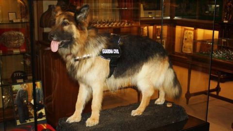 El perro polic&iacute;a, Ajax