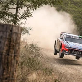 Rally Rally