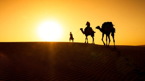 Camellos en el desierto del Thar