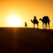 Camellos en el desierto del Thar