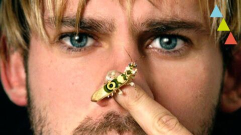 Las 10 mascotas m&aacute;s extra&ntilde;as de los famosos