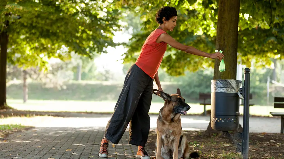 Mujer recogiendo las cacas de su perro Mujer recogiendo las cacas de su perro