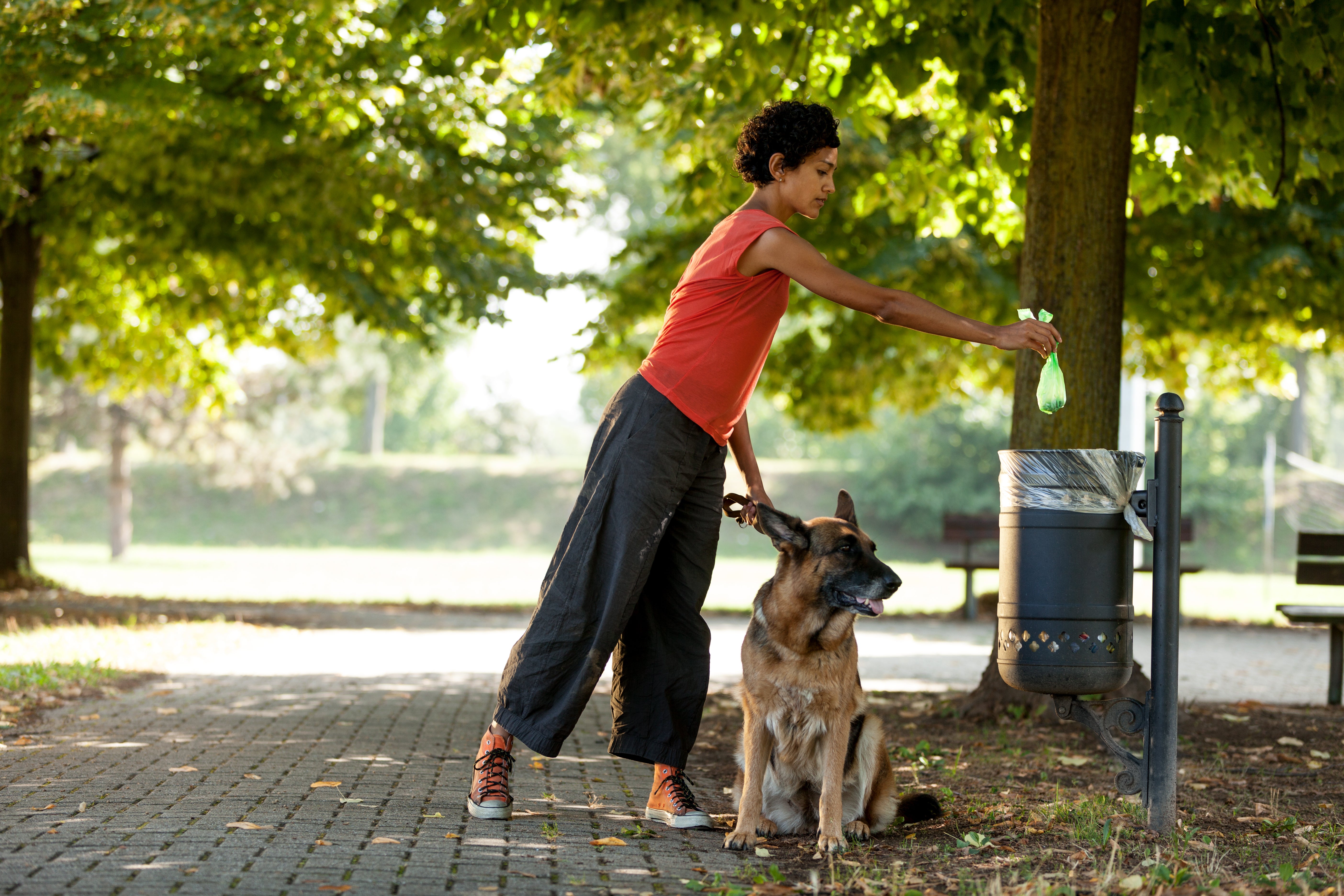 El ADN como aliado contra los excrementos de los perros en la calle El ADN como aliado contra los excrementos de los perros en la calle