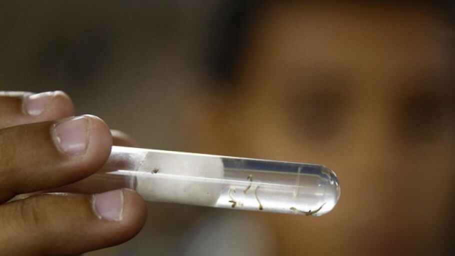 Virus del Zika