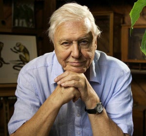 David Attenborough David Attenborough