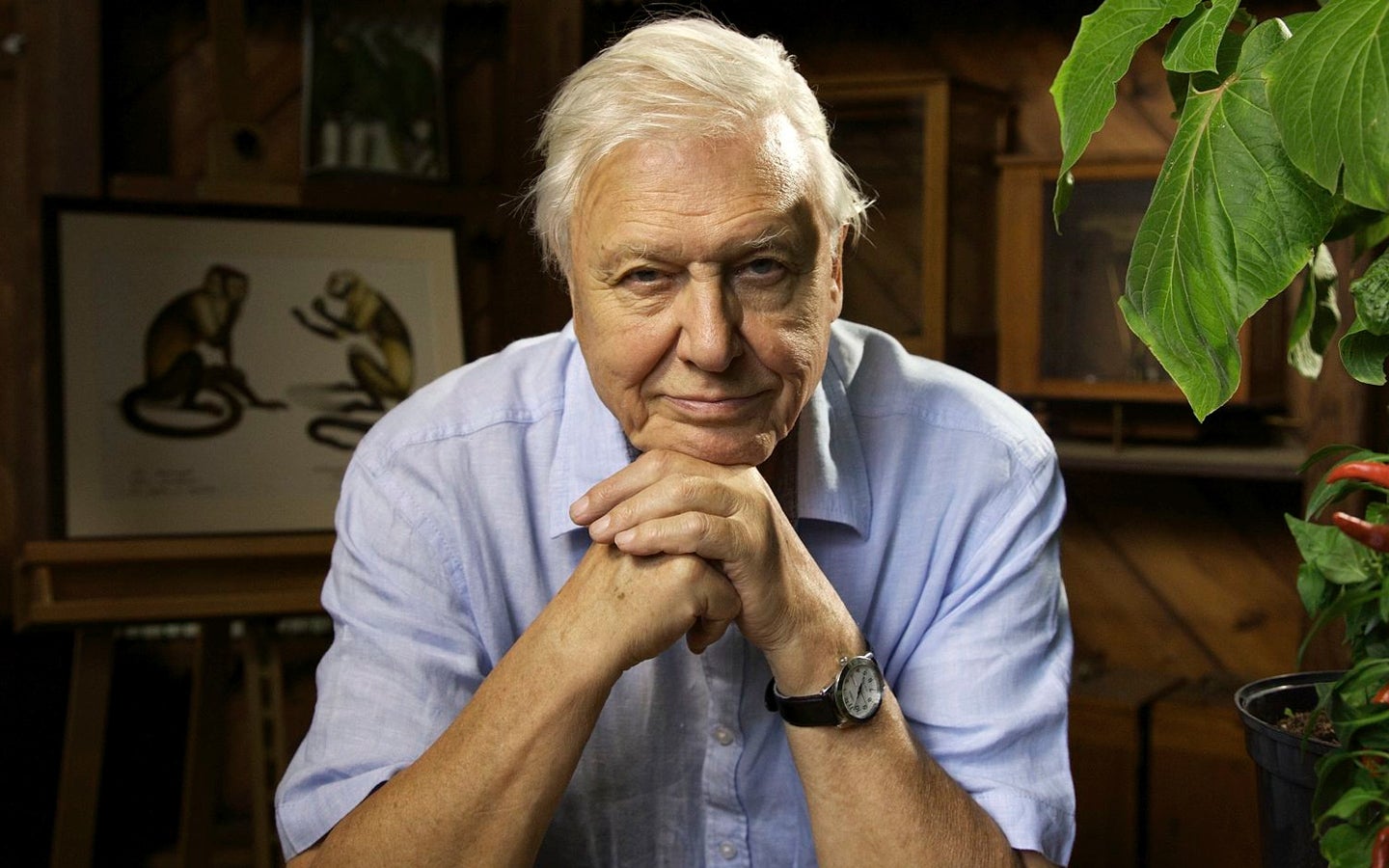 Los inspiradores: David Attenborough y Alain Los inspiradores: David Attenborough y Alain